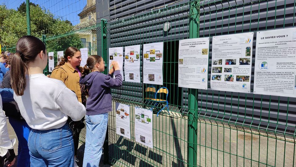 Lire la suite à propos de l’article ECO-COLLEGE : fête de la biodiversité