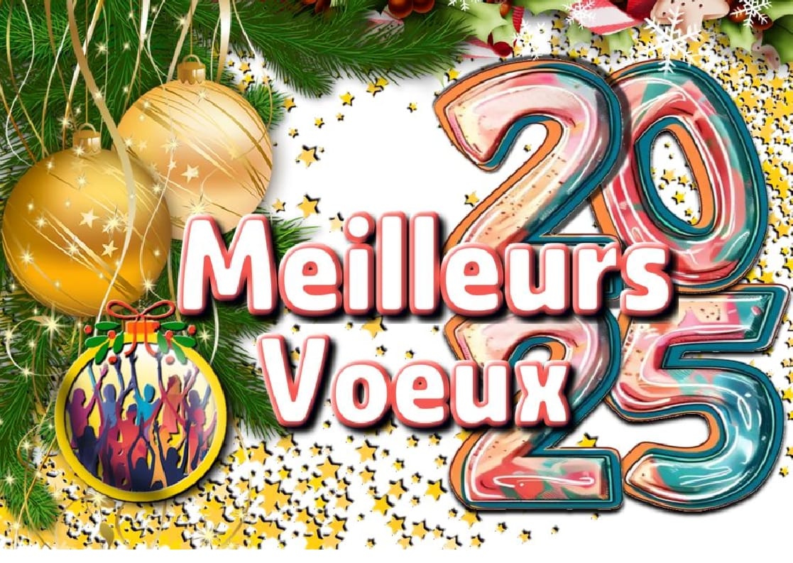 Lire la suite à propos de l’article VOEUX 2025